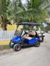 Standard 4 Seater Golf Cart