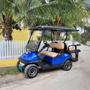 Standard 4 Seater Golf Cart