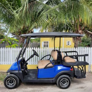Standard 4 Seater Golf Cart