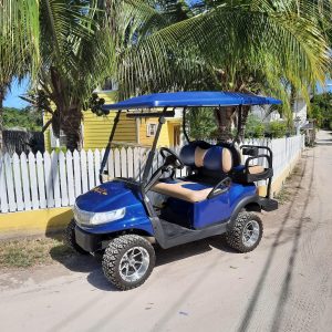 4 Seater High Roller Golf Carts