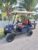 4 Seater High Roller Luxury Golf Carts